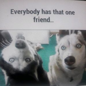 Meet your Posher, Shranna